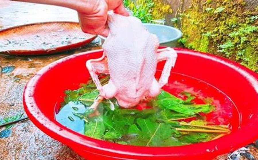 Sử dụng lá đu đủ

