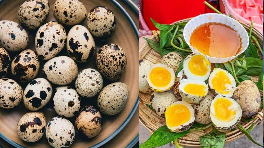 Trứng cút cung cấp năng lượng và các dưỡng chất cần thiết cho cơ thể.