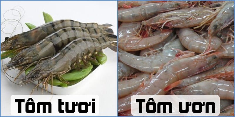 tom ngon