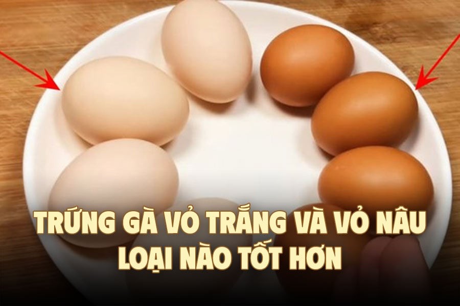 Nhiều người tin rằng chỉ vì trứng nâu đắt hơn nên chúng tốt hơn, tuy nhiên điều này chưa hẳn đúng