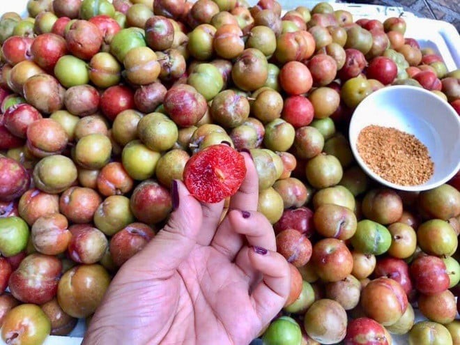 Mận hậu là nguồn cung cấp nhiều vitamin và khoáng chất thiết yếu. 