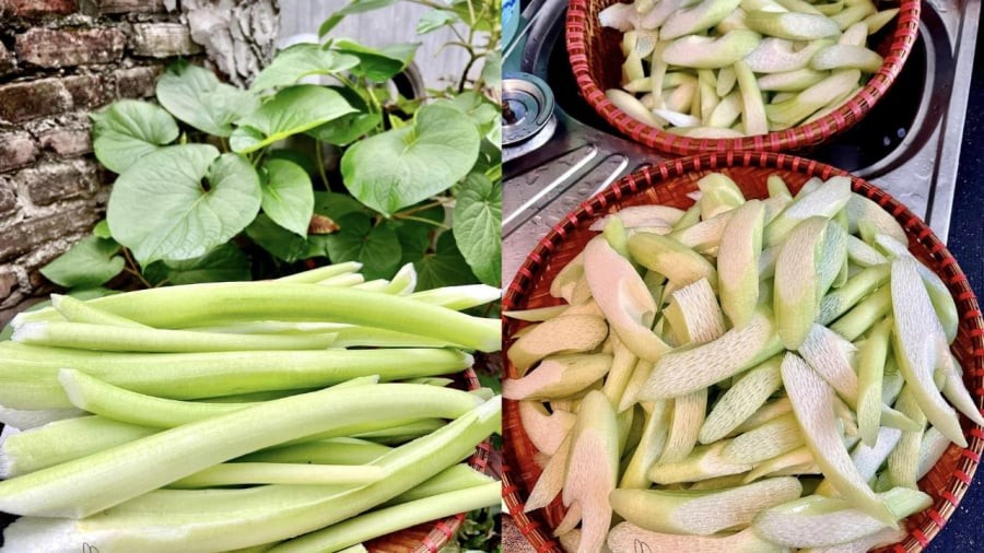 Dọc mùng mua về cần sơ chế kỹ trước khi nấu để tránh bị ngứa.