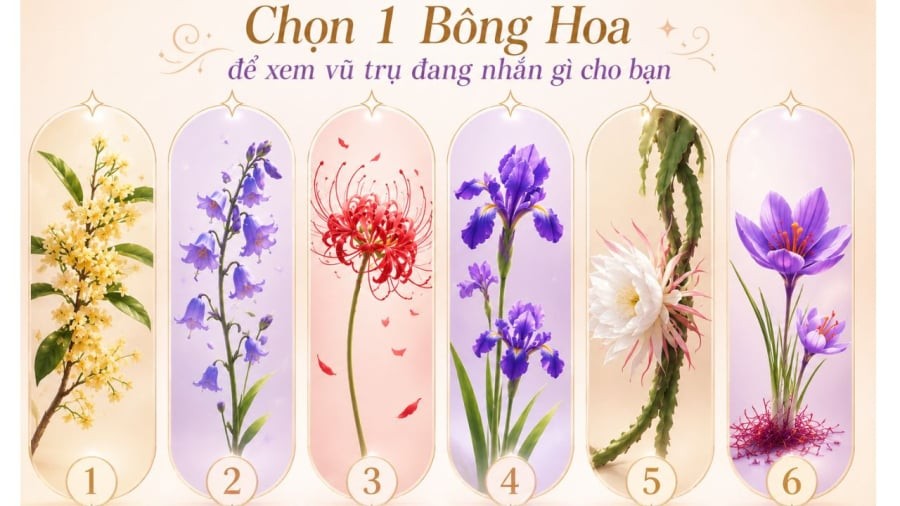 Bạn chọn loại hoa nào?