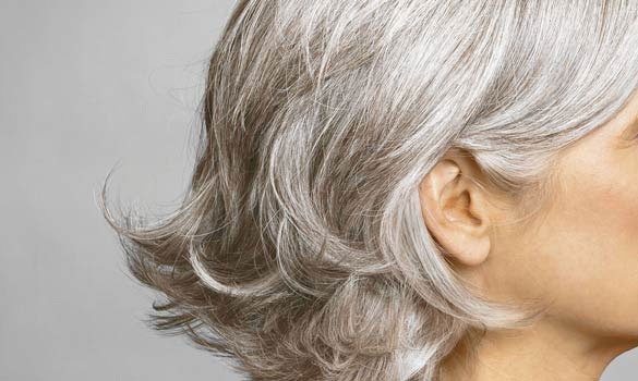 Khi mất đi sắc tố tự nhiên, cấu trúc tóc có thể xuất hiện nhiều khoảng trống hơn, khiến sợi tóc trở nên kém linh hoạt và dễ cong vênh. 