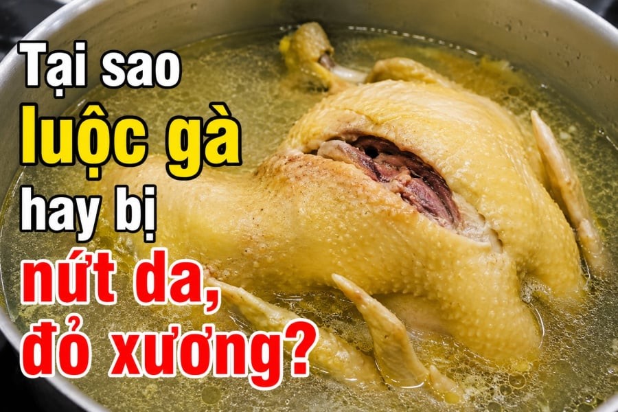 Luộc gà bị nứt da chủ yếu do sốc nhiệt (luộc lửa to, nước sôi sùng sục) hoặc đặt ngửa bụng gà làm da bị rách. Tình trạng đỏ xương thường do gà non/gà tơ (mạch máu chưa phát triển cứng cáp) làm tủy đỏ ngấm ra ngoài, hoặc chặt gà ngay khi vừa vớt ra khiến tủy tiếp xúc với không khí gây đổi màu.