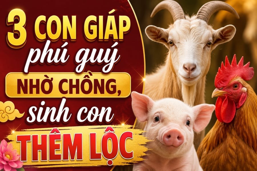 3 con giáp phú quý nhờ chồng, sinh con thêm Lộc gồm: Tuổi Mùi, tuổi Hợi và con giáp tuổi Dậu
