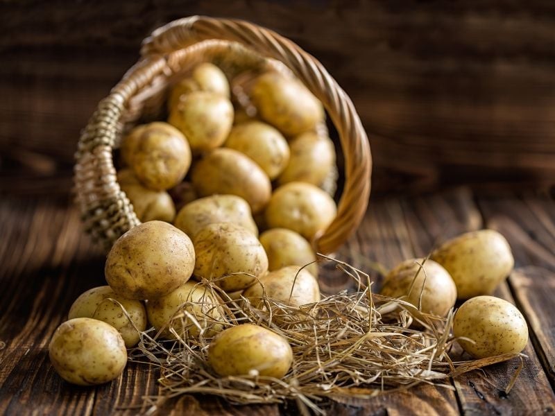 Khoai tây là nguyên liệu giàu nước, vitamin B6 và kali, có khả năng hỗ trợ làm dịu vùng da khô căng và giảm cảm giác sần ráp. 