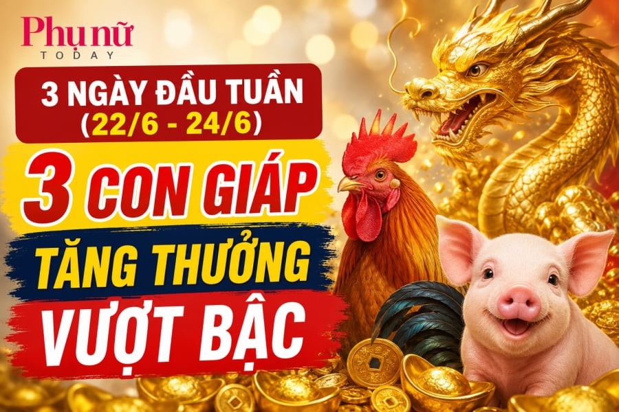 3 ngày đầu tuần (22/6-24/6), 3 con giáp tăng thưởng vượt bậc: Dự báo đó là tuổi Thìn, tuổi Hợi, tuổi Dậu