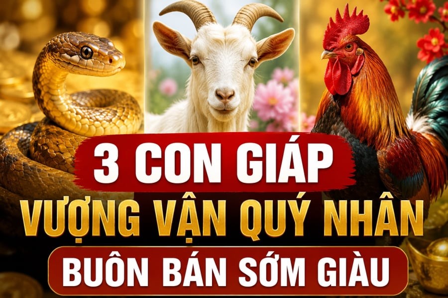 3 con giáp Vượng Vận Quý Nhân, buôn bán sớm giàu
