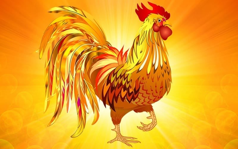 Điểm đáng quý ở tuổi Dậu là tinh thần cầu tiến. Họ luôn học hỏi để nâng cao năng lực bản thân. Chính sự chủ động này giúp họ dễ thích nghi với những thay đổi của thị trường lao động hiện đại.

