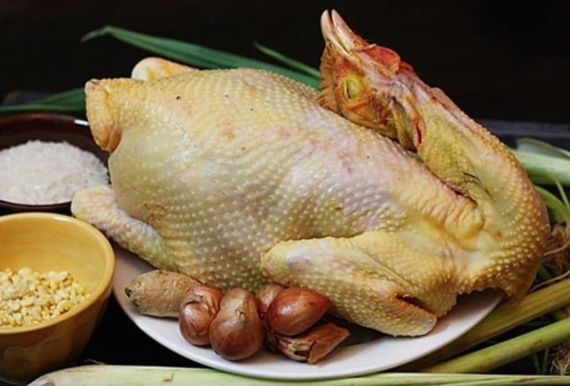 Muốn luộc gà ngon, trước hết bạn cần chọn được con gà chất lượng