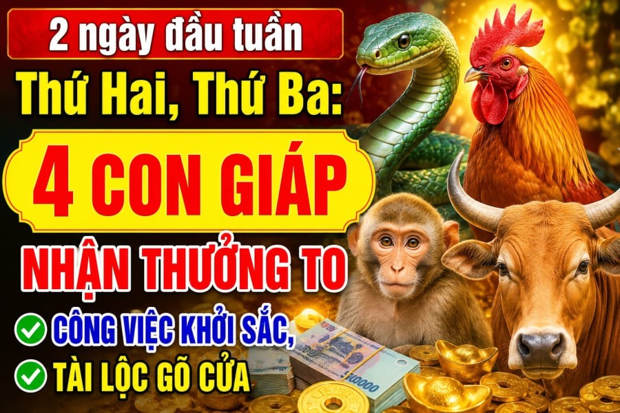 2 ngày đầu tuần Thứ Hai, thứ Ba: 4 con giáp nhận thưởng to