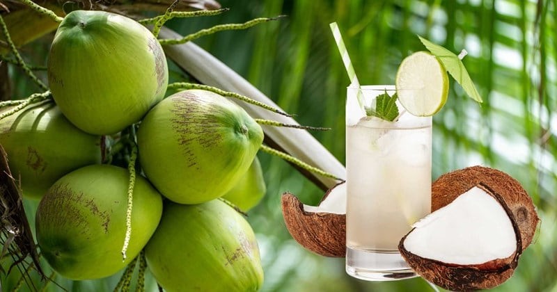 Nước dừa chứa nhiều kali, magie cùng các chất chống oxy hóa có lợi cho cơ thể.