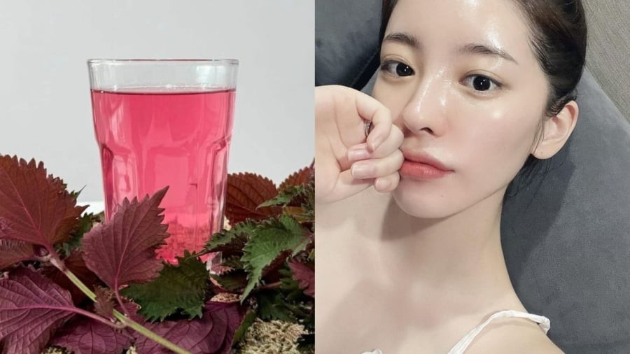 Sử dụng tía tô một cách hợp lý sẽ giúp bạn có được làn da sáng khỏe.