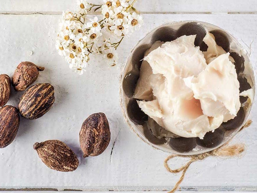 Bơ hạt mỡ (shea butter) là nguyên liệu được sử dụng phổ biến trong nhiều sản phẩm dưỡng da nhờ chứa các acid béo và vitamin có khả năng làm mềm da. 