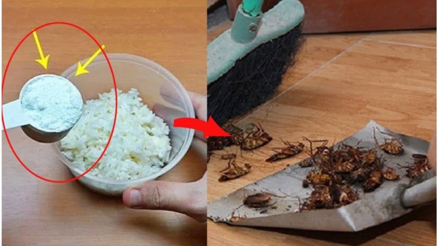 Trộn bột giặt với cơm nguội mẹo hay