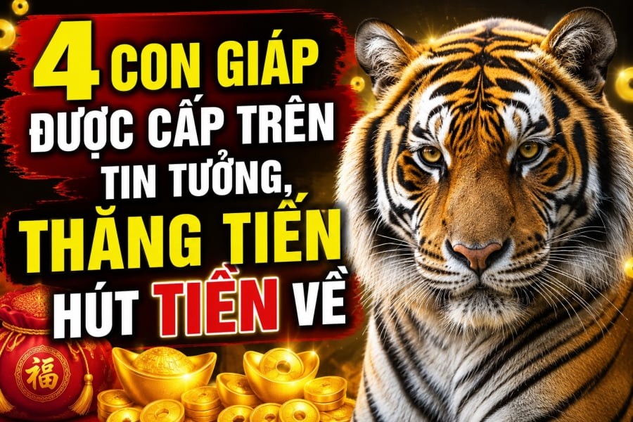 4 con giáp được cấp trên tin tưởng, thăng tiến hút Tiền về