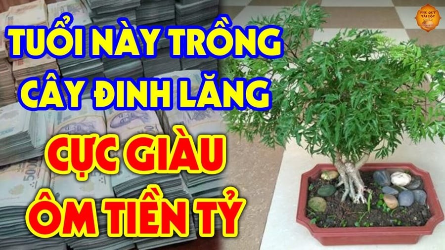 dinh