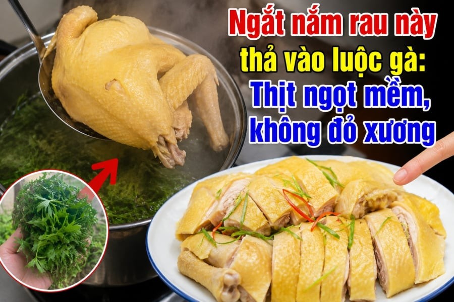 Ngắt nắm rau này thả vào luộc gà: Thịt ngọt mềm, không đỏ xương