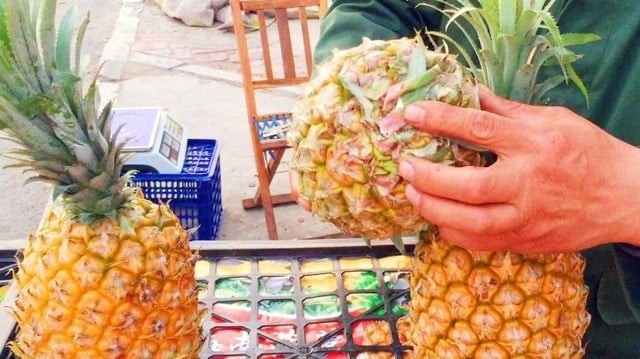 Chọn dứa nhắm trúng điểm này: Mật nhiều, mọng nước