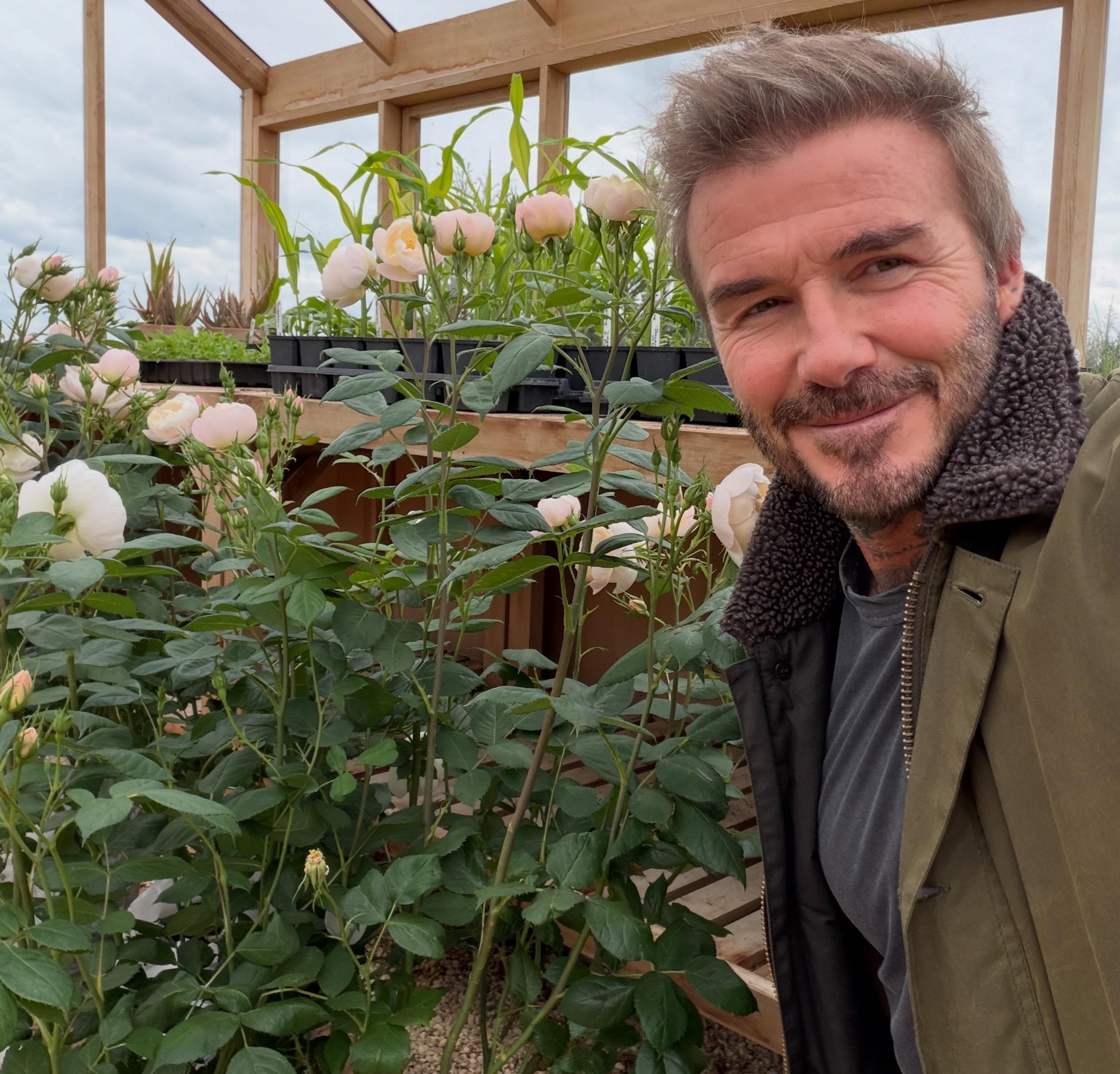 Hình mẫu lý tưởng trong mắt công chúng Mỹ. Ảnh: Beckham Fanpage.