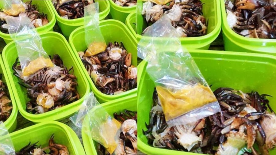 Bạn có thể cấp đông cua tươi để sử dụng dần.