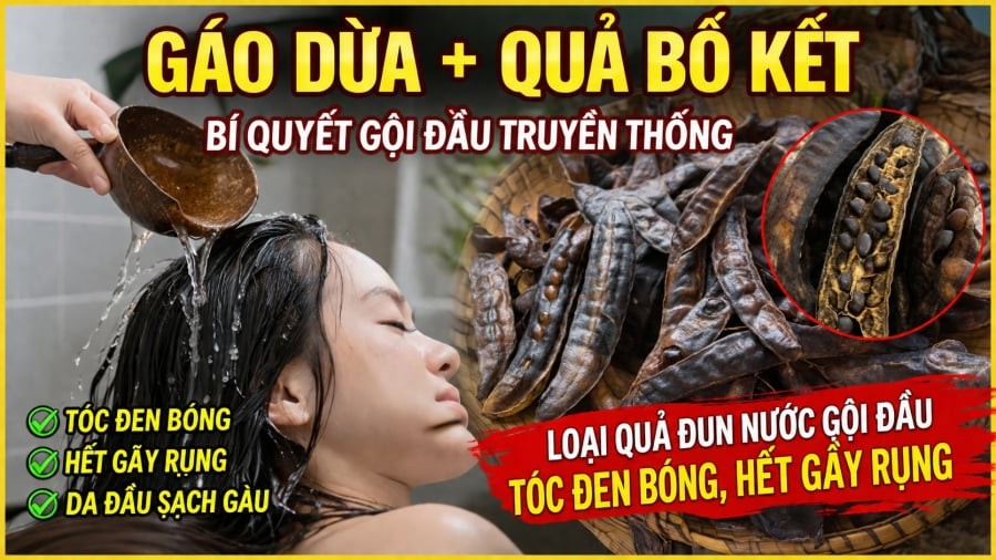 Loại quả đun nước gội đầu tóc đen bóng, hết gãy rụng