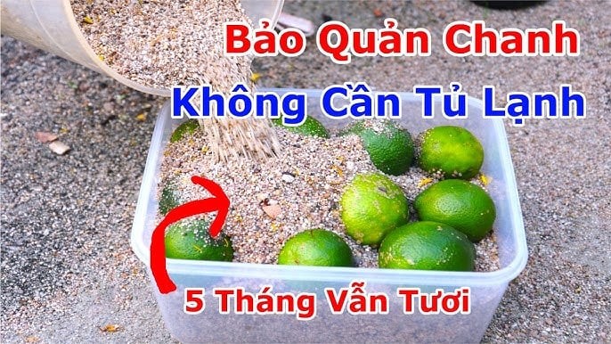 Cách bảo quản chanh để vài tháng vẫn mọng nước