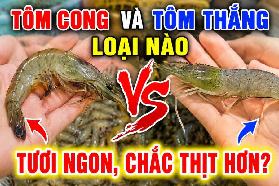 Tôm cong và tôm thẳng loại nào tươi ngon, chắc thịt hơn?