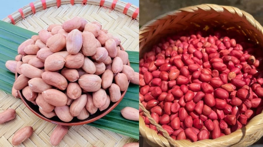 Lạc trắng và lạc đỏ không chỉ khác nhau về màu sắc mà còn có sự khác biệt về hương vị.