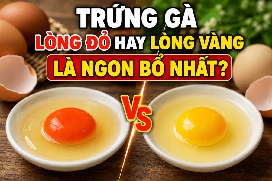Trứng gà lòng đỏ hay lòng vàng ngon và bổ hơn? Nhiều người mua nhầm suốt bao năm