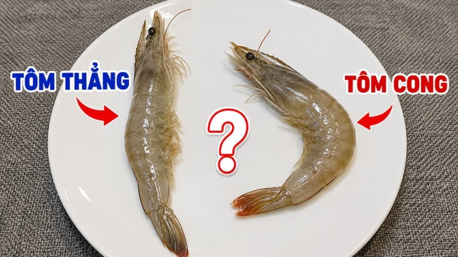 Nên mua tôm nào sẽ ngon hơn? 