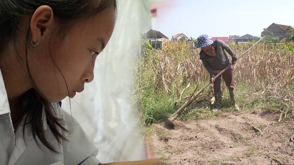 mai am gia dinh viet (12).jpg