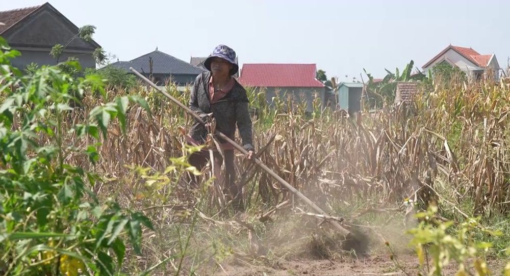 mai am gia dinh viet (20).jpg
