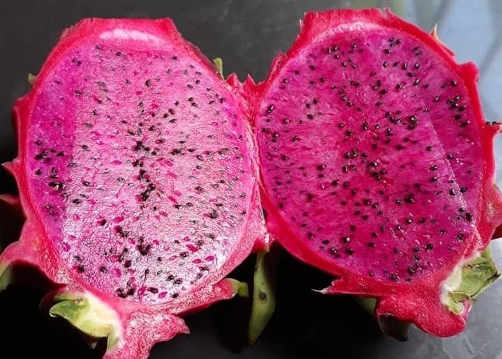 Thanh long chứa nhiều hợp chất chống oxy hóa như betalain, betacyanin, flavonoid và carotenoid. 