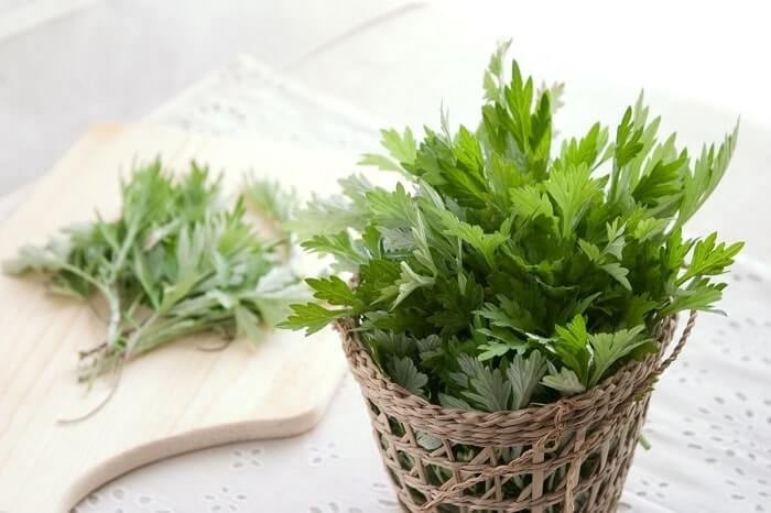 Ngải cứu chứa nhiều hợp chất thực vật cùng các vitamin như A, B và C, bên cạnh các khoáng chất như sắt, canxi, magie, kali và kẽm. 