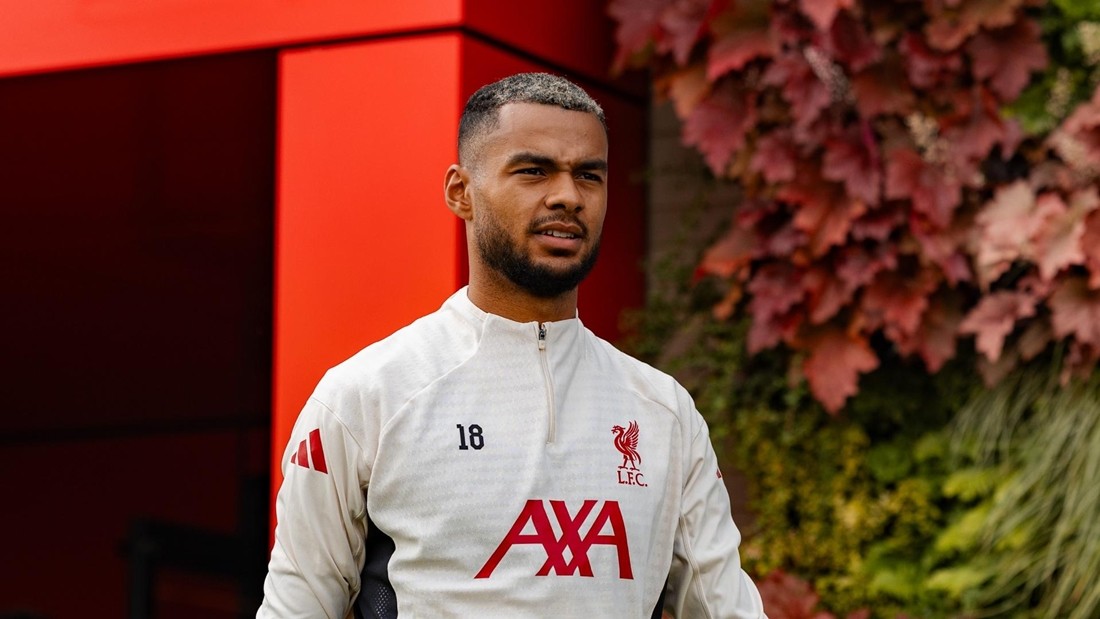 Cody Gakpo được cho trong tầm ngắm Tottenham. Ảnh: Liverpool FC.