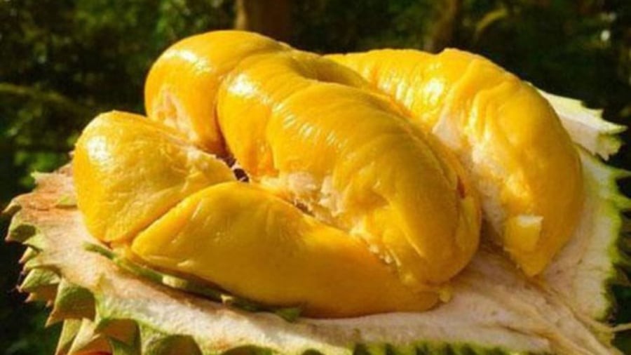 5 người không nên ăn sầu riêng, càng ăn càng gây hại