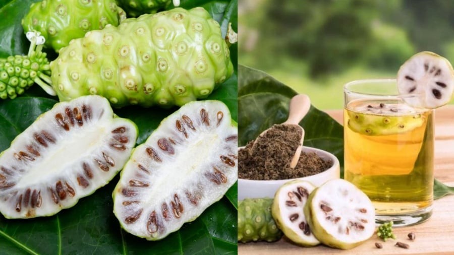 Quả nhàu và nhiều bộ phận khác của cây nhàu có thể sử dụng làm dược liệu.