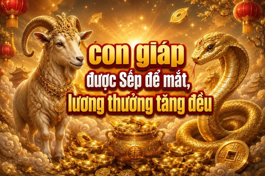 Khoảng thời gian từ ngày 3/8 đến 15/8 được xem là giai đoạn thuận lợi để một số con giáp phát huy năng lực, tạo dấu ấn trong công việc. 