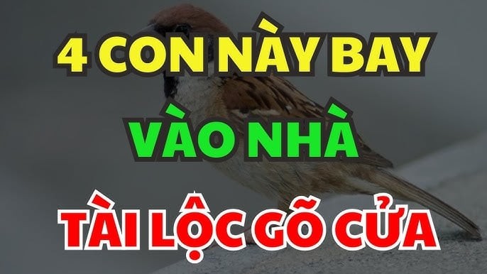 vat