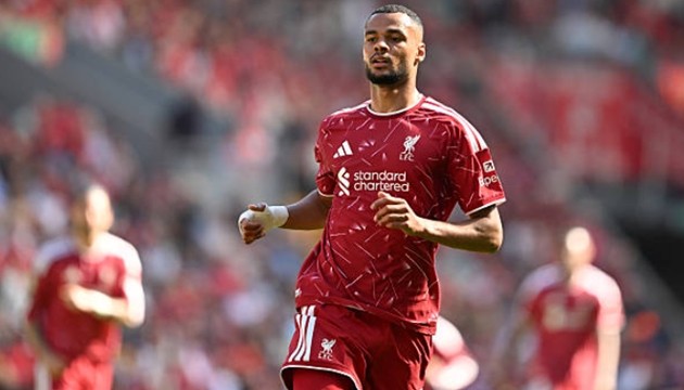 Liverpool sẵn sàng bán Cody Gakpo? Ảnh: Getty Images