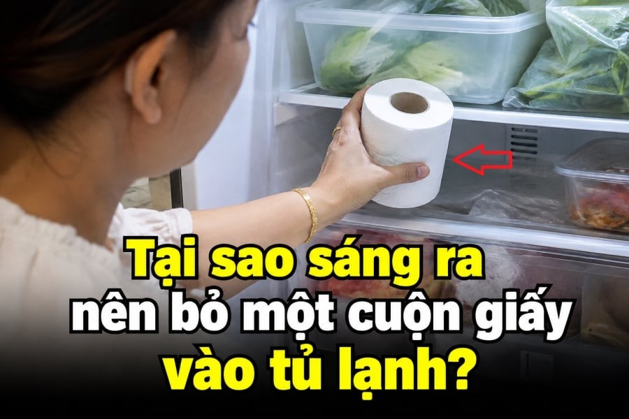 Tại sao sáng ra nên bỏ một cuộn giấy vào tủ lạnh?