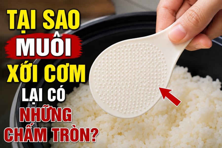 Nếu để ý kỹ, nhiều người sẽ nhận thấy trên bề mặt chiếc muôi thường xuất hiện những chấm tròn nhỏ hoặc những lỗ li ti được sắp xếp khá đều nhau.