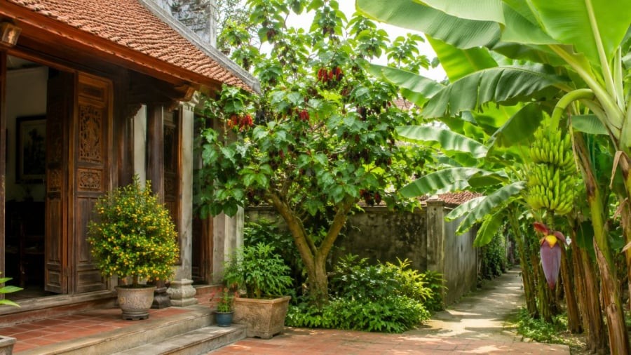 Người xưa cho rằng vị trí đặt dây hợp lý mới phát huy công dụng thực sự