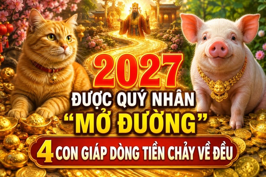 Khi biết nắm bắt, họ có thể tạo dựng nguồn thu ổn định hơn, từng bước cải thiện tài chính.