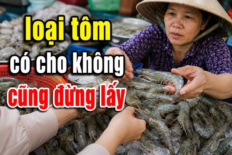 Có những con nhìn bên ngoài vẫn khá bắt mắt nhưng khi cầm lên mới phát hiện thân mềm nhũn, đầu lỏng hoặc có mùi bất thường.