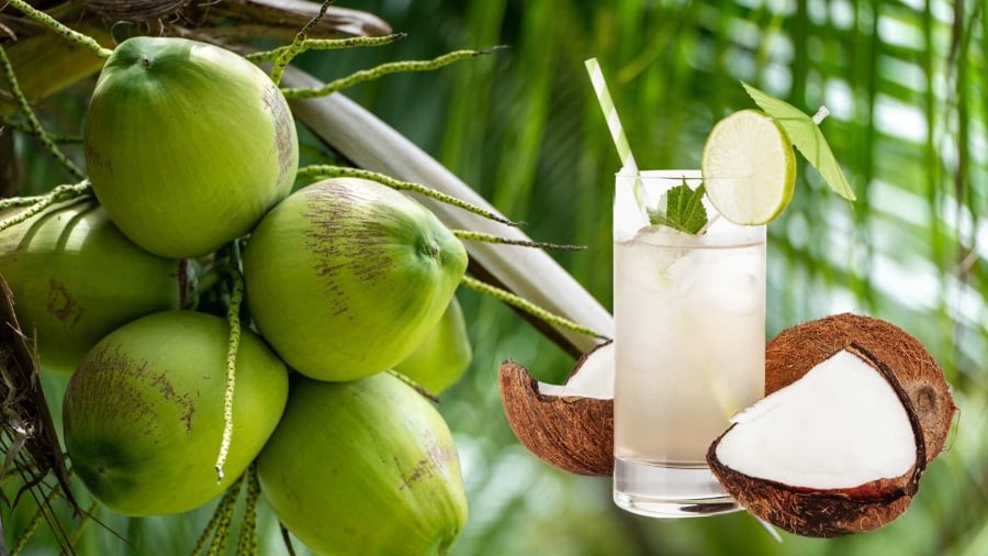Thành phần của nước dừa có kali và một số khoáng chất, đồng thời cung cấp một lượng carbohydrate nhất định.