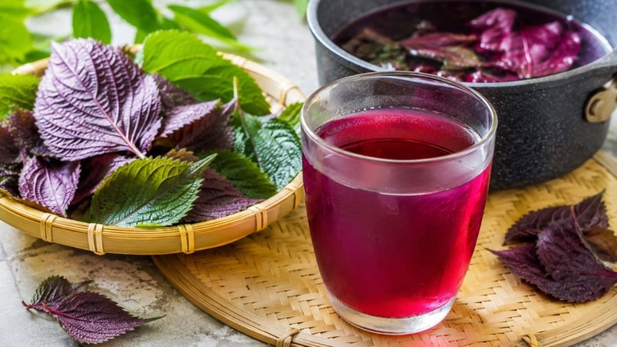 Biết cách thì nước lá tía tô sẽ lên màu đẹp