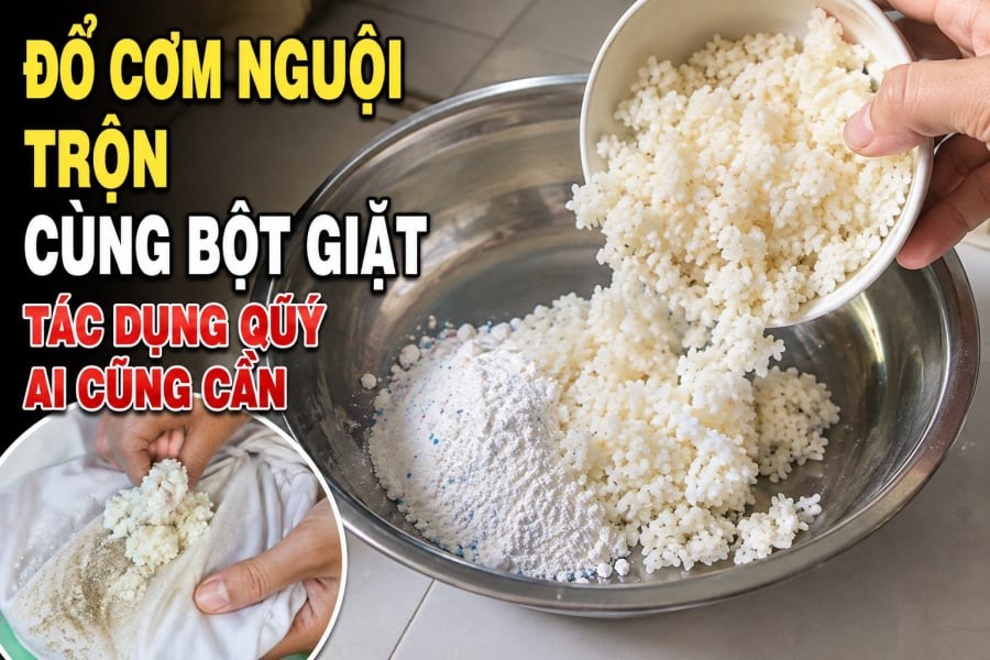 Đổ cơm nguội trộn cùng bột giặt, tác dụng quý ai cũng cần
